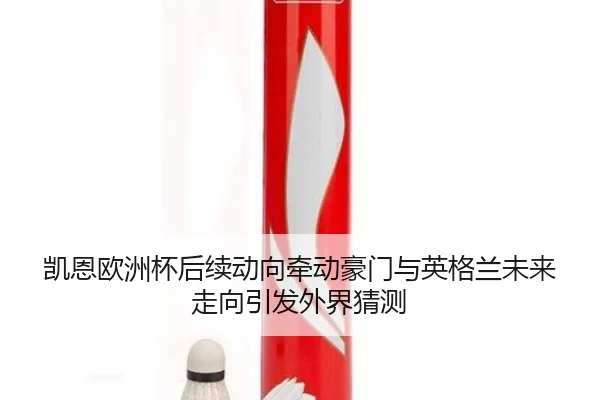 凯恩欧洲杯后续动向牵动豪门与英格兰未来走向引发外界猜测 | leyu